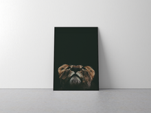 Load image into Gallery viewer, Lions