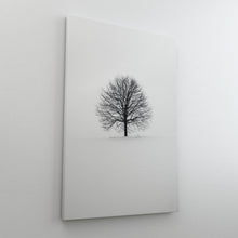 Load image into Gallery viewer, Forgotten Tree