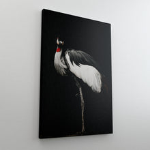 Load image into Gallery viewer, Bird Pride